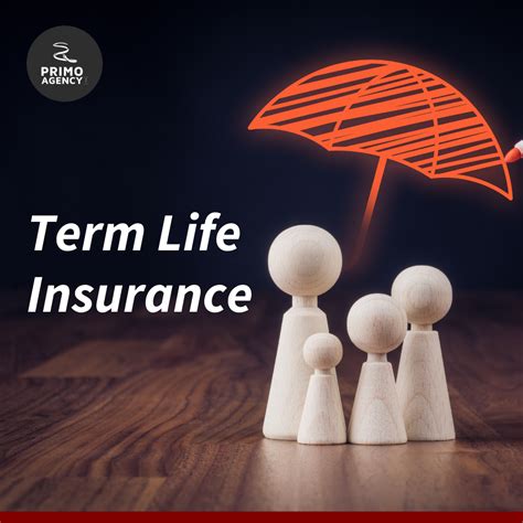 most affordable term life insurance