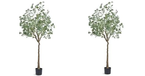 Most Authentic Artificial Plants