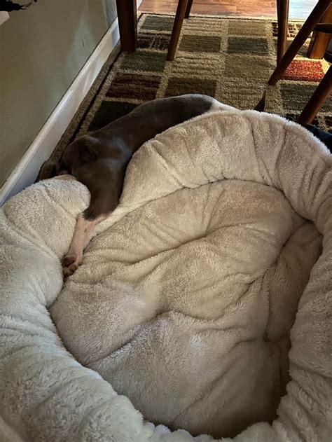 Most Comfortable Bed Sets Reddit