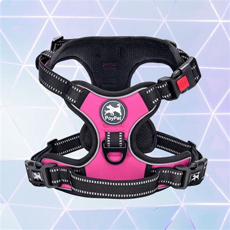 Most Comfortable Dog Harness Uk