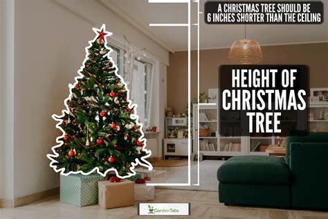 Most Common Christmas Tree Height