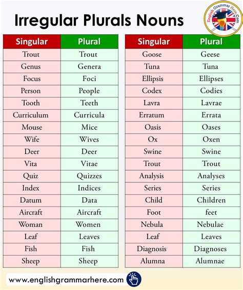 most common irregular nouns