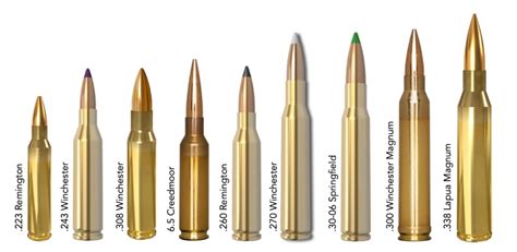 Most Common Long Rifle Caliber