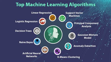 most common machine learning algorithms