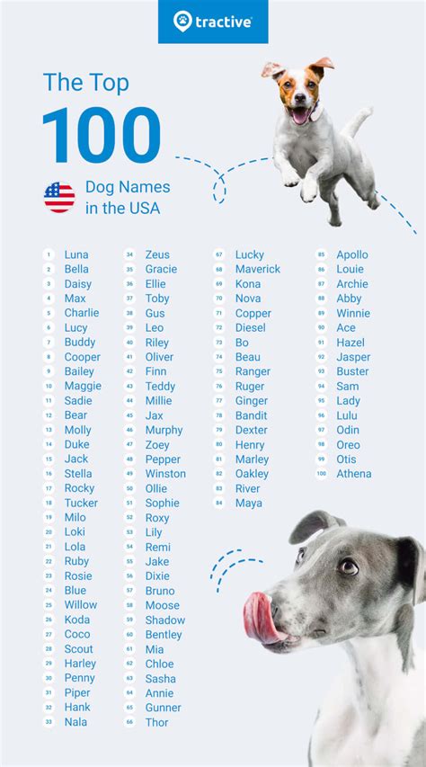 Most Common Pet Names