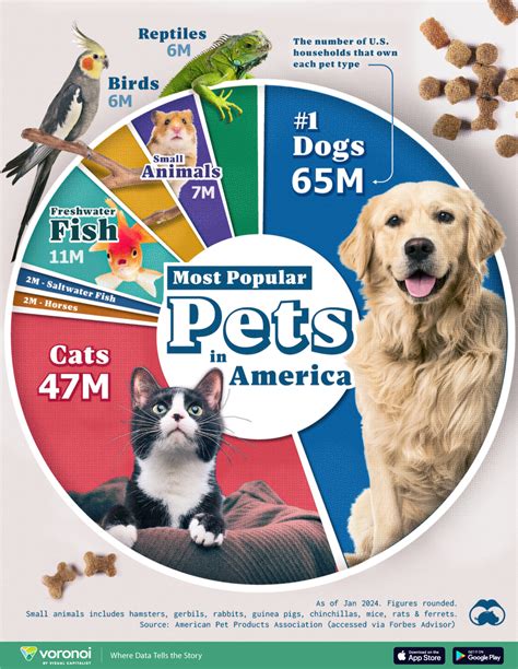 Most Common Pets Us