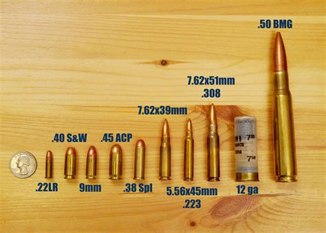 most common type of ammo