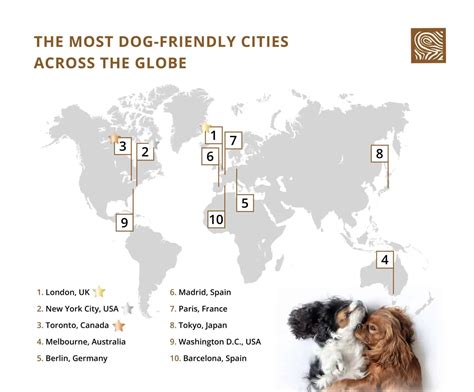 most dog friendly cities in the world