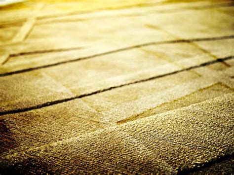 Most Durable Area Rug