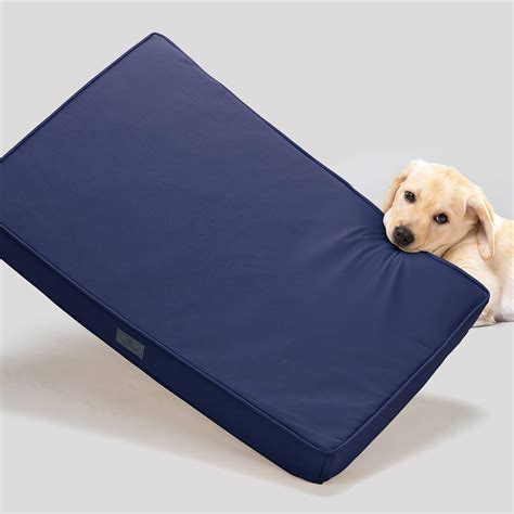 Most Durable Dog Bed Canada