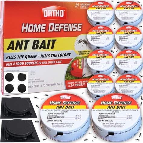 Most Effective Ant Killer
