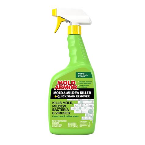 Most Effective Mold Killer