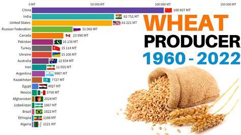 Most Efficient Grain To Grow