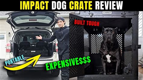 Most Expensive Dog Crate