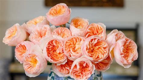 Most Expensive Flowers List