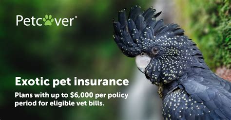 most expensive insurance for exotic pets