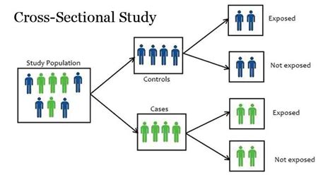 Most Famous Cross Sectional Study