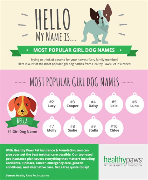 Most Famous Female Dog Names