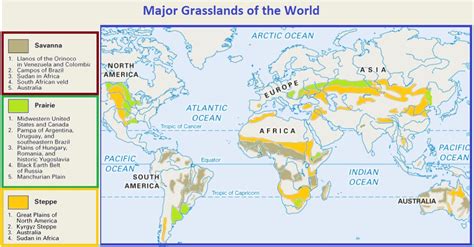 Most Famous Grasslands