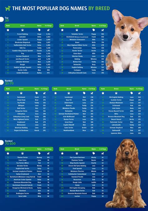 most popular dog names 2024