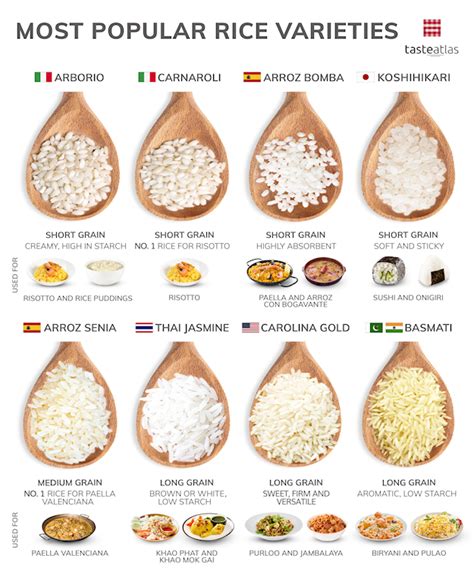 Most Popular Rice Types