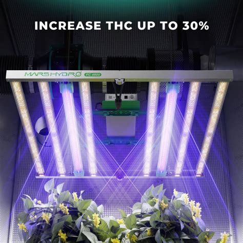 Most Powerful Grow Lights