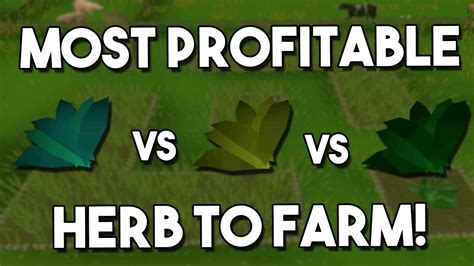 most profitable herb to farm osrs