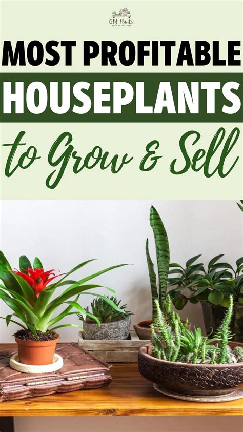 Most Profitable Plants To Sell