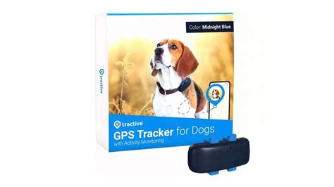 Most Reliable Dog Tracker