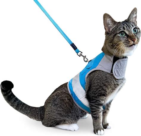 Most Secure Cat Harnesses