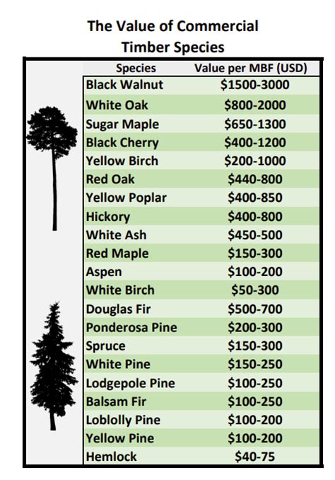 Most Valuable Trees In Texas