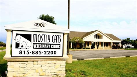 mostly cats veterinary clinic