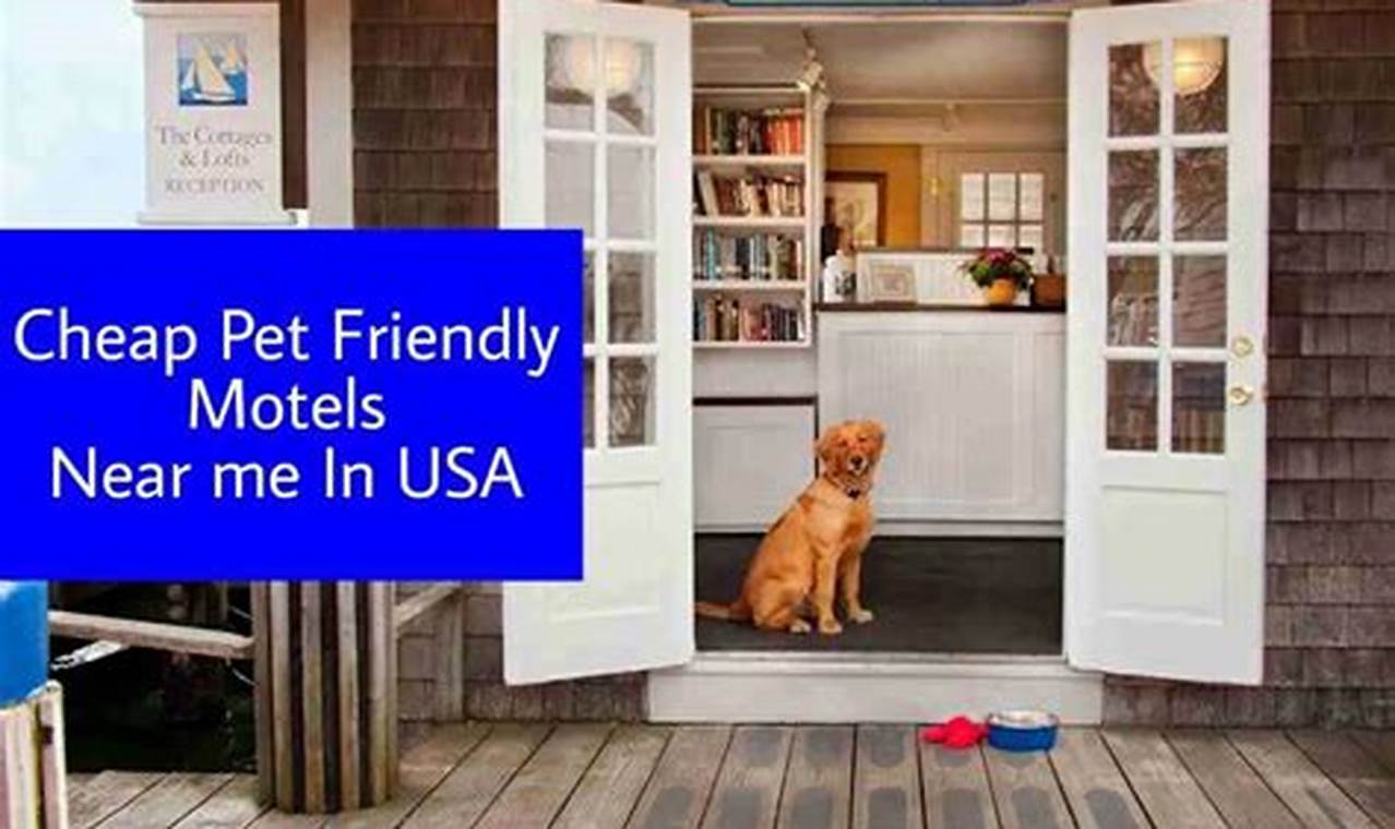 Discover NYC's Top Dog-Friendly Motels in Minutes!