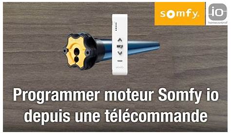 Moteur Volet Roulant Somfy Radio Programmation OXIMO 10/17 RTS 100 Pour 100