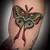 moth tattoo traditional
