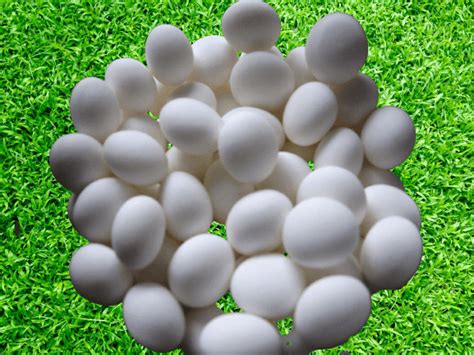 Moth Balls In Chicken Coop