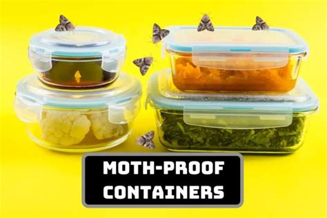 Moth Proof Storage Containers