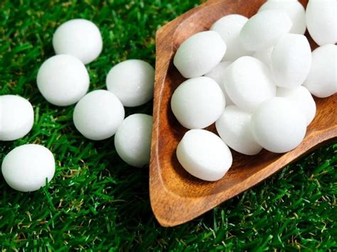 Mothballs For Chipmunks