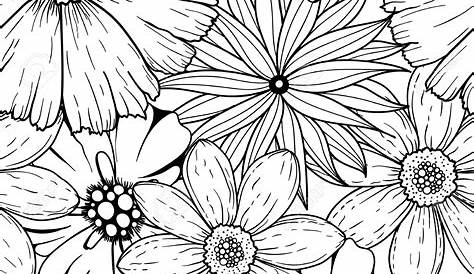 Motif Fleur Noir Et Blanc Simple Vecteur Floral — Image Vectorielle