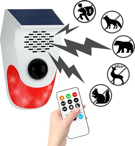Motion Activated Camera Dog