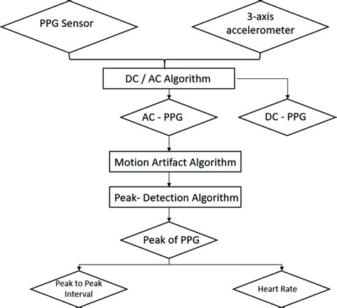 Motion Artifact Algorithm