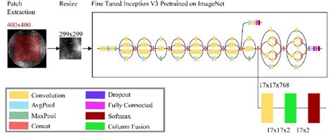 Motion Artifact Detection