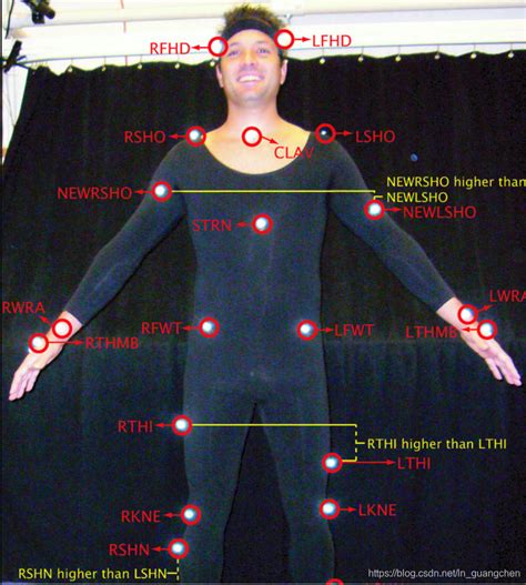 Motion Capture Database