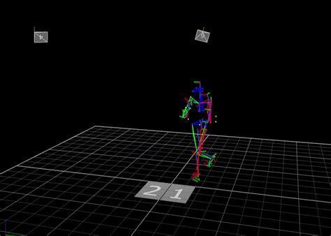 Motion Capture Gait Analysis