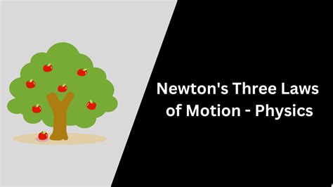 Motion In Physics Wiki