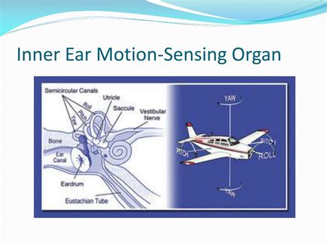 Motion Sickness Inner Ear