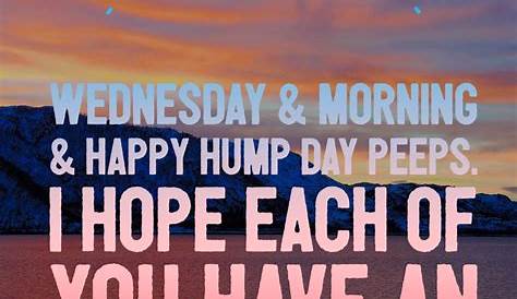 Motivational Quotes For Work Hump Day 11 Bae