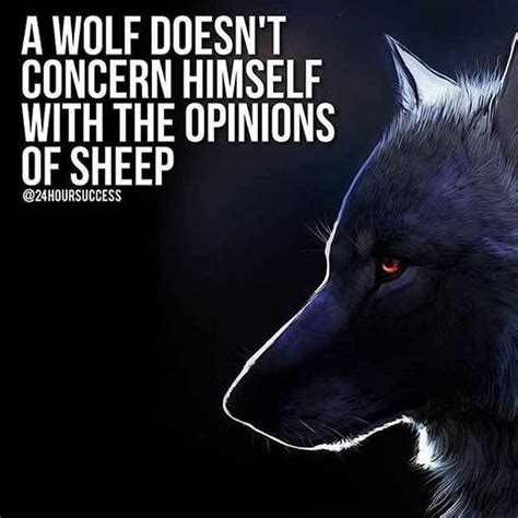 motivational quotes about wolves