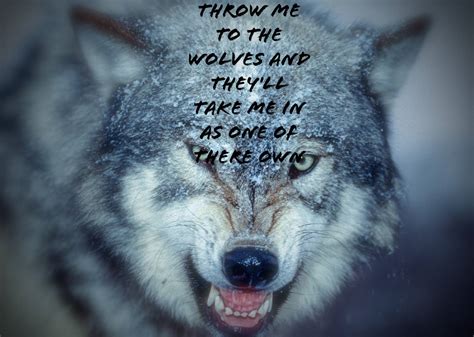 motivational quotes with wolf background