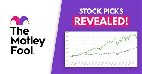 motley fool top 10 stock picks 2024